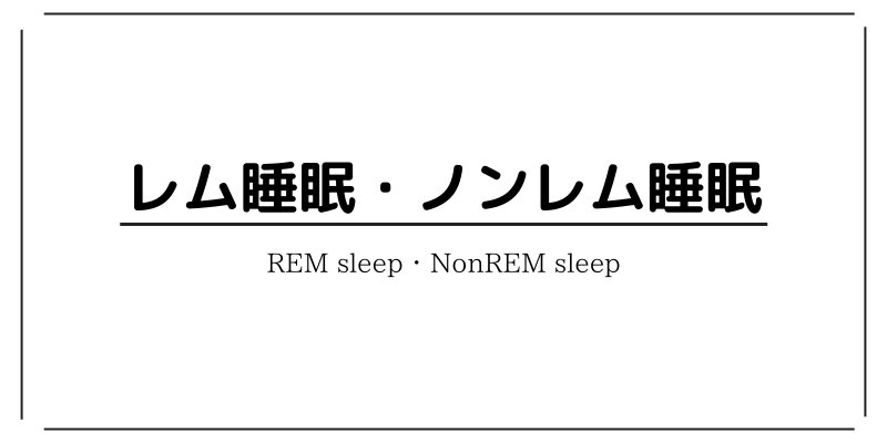 レム睡眠、ノンレム睡眠って何？それぞれの概要や2つの違いなどについてざっくり解説