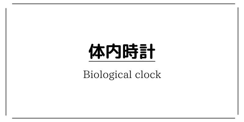 ガンや生活習慣病の原因になる？体内時計とは何か、整える方法などをざっくり解説