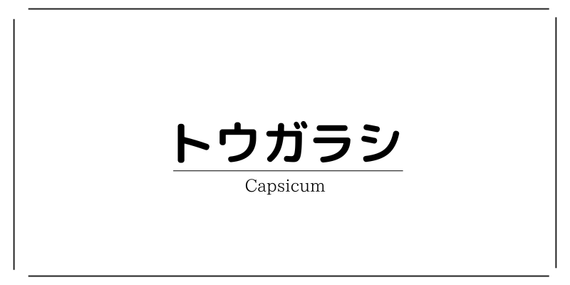 辛い物を食べるとやせるって本当？トウガラシの概要やメリットなどについてざっくり解説