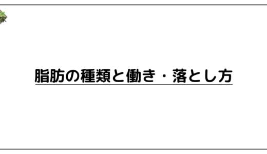 部分痩せはできない！？内臓脂肪や皮下脂肪とは何か、落とす方法についてもざっくり解説