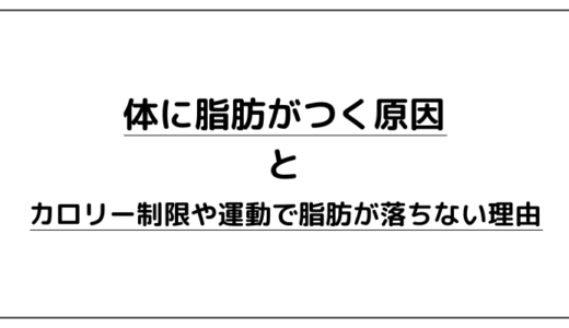 運動やカロリー制限は意味がない！？脂肪がつく原因と落とすためにできることをざっくり解説